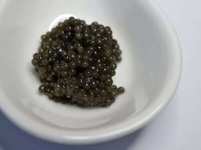 cg1-Adrian-CCxodg1xycSFgkUDoRsj94b