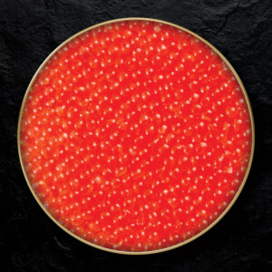 Trout Roe Caviar - Image 3