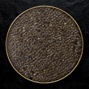 White Sturgeon Caviar - Image 3